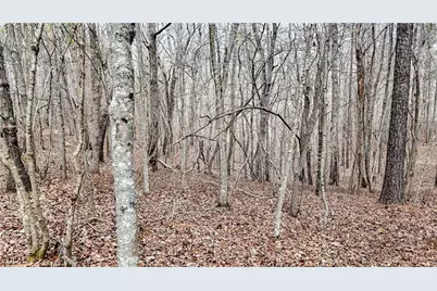 0 Felton Rockmart Road, Buchanan, GA 30113 - Photo 34