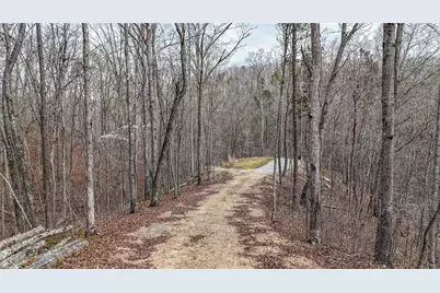 0 Felton Rockmart Road, Buchanan, GA 30113 - Photo 8