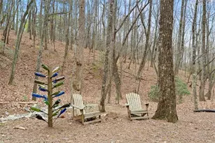 167 Early Red Pippin, Clarkesville, GA 30523 - Photo 44