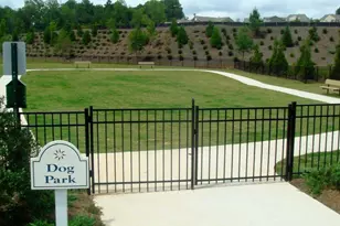 6247 Longleaf Dr, Hoschton, GA 30548 - Photo 48