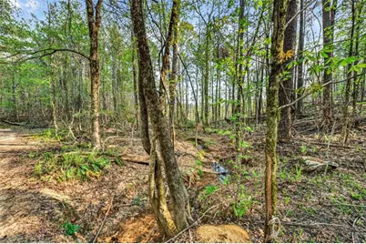 669 Pecan Grove Road, Washington, GA 30673 - Photo 42