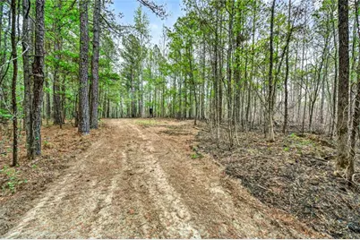 669 Pecan Grove Road, Washington, GA 30673 - Photo 40