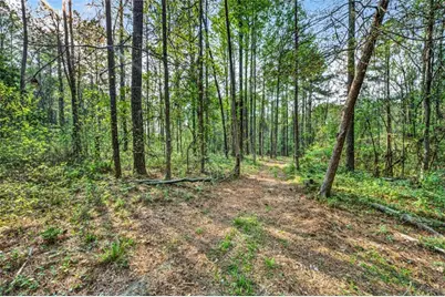 669 Pecan Grove Road, Washington, GA 30673 - Photo 46