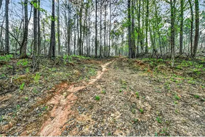 669 Pecan Grove Road, Washington, GA 30673 - Photo 36