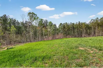 669 Pecan Grove Road, Washington, GA 30673 - Photo 54