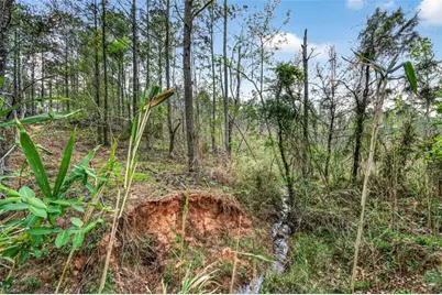 669 Pecan Grove Road, Washington, GA 30673 - Photo 34