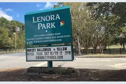 3740 Ivy Cottage Drive, Snellville, GA 30039 - Photo 36