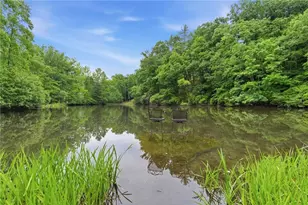 144 Indian Beach Trail, Jasper, GA 30143 - Photo 2