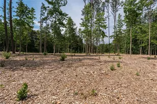 Trct 2 Pope Rd, Buchanan, GA 30113 - Photo 14