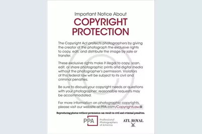 134 Broadwater Court, Waleska, GA 30183 - Photo 46