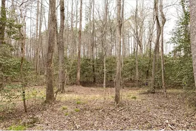0 Reagan Road, Dawsonville, GA 30534 - Photo 12