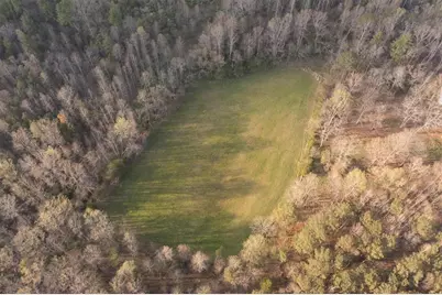 0 Reagan Road, Dawsonville, GA 30534 - Photo 18