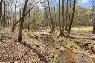 3880 Fern Springs Ln, Douglasville, GA 30135 - Photo 56