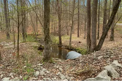 3880 Fern Springs Lane, Douglasville, GA 30135 - Photo 64