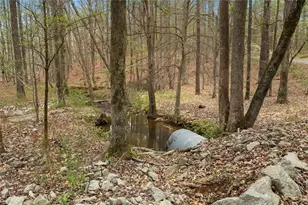 3880 Fern Springs Ln, Douglasville, GA 30135 - Photo 64