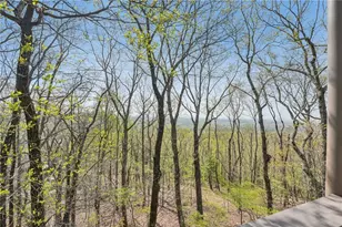 1041 Cox Mountain Dr, Big Canoe, GA 30143 - Photo 78