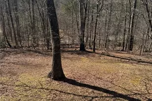 7089 Hwy 19 N, Dahlonega, GA 30533 - Photo 16