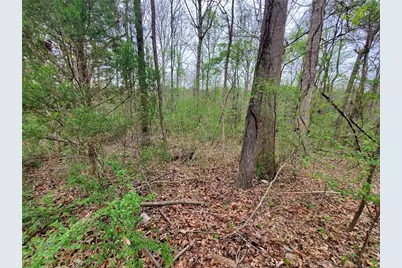 320 Brody Drive NE, Resaca, GA 30735 - Photo 22