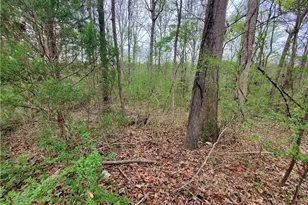 320 Brody Dr NE, Resaca, GA 30735 - Photo 22