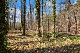 2055 Castle Royale Dr, Lawrenceville, GA 30043 - Photo 38