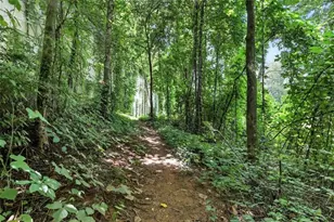 14 Living Waters Wy, Clayton, GA 30525 - Photo 38