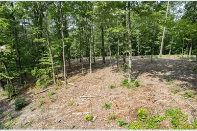 Lt 314 Pebble Trace, Talking Rock, GA 30175 - Photo 6