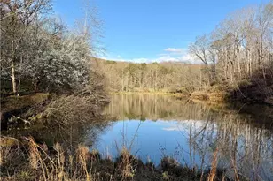 1565 Shoal Creek Road NW, Clermont, GA 30527 - Photo 2