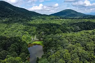 [Address not provided], Clermont, GA 30527 - Photo 12