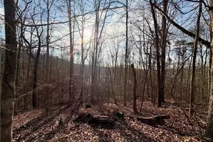 1565 Shoal Creek Road NW, Clermont, GA 30527 - Photo 14