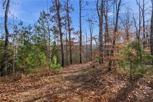 613 Abbington River Ln, Atlanta, GA 30339 - Photo 52