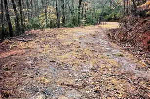 69 Gold Lk Dr, Cleveland, GA 30528 - Photo 1