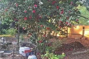 3790 Mauck St, Clarkston, GA 30021 - Photo 26