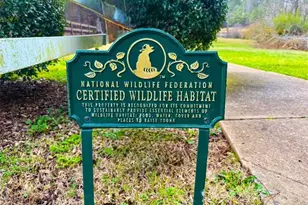 146 Jeb Stuart Dr, Newnan, GA 30265 - Photo 50