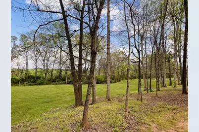 3386 Chandler Road, Good Hope, GA 30641 - Photo 90