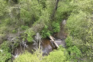 479 Bill Watkins Rd, Hoschton, GA 30548 - Photo 74