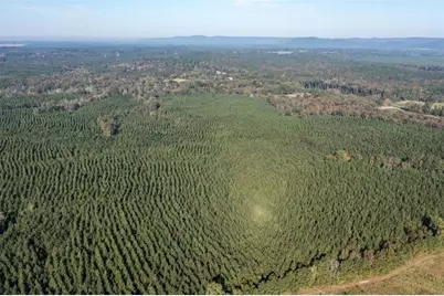 0 Livingston Rd SW, Rome, GA 30161 - Photo 10