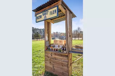 1251 Old Jones Road, Alpharetta, GA 30004 - Photo 4