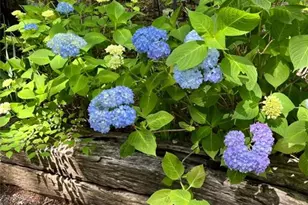 146 Canyon Pass, Cleveland, GA 30528 - Photo 14