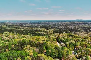 210 Burnt Hickory Dr, Dallas, GA 30132 - Photo 36