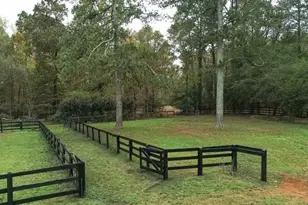 15585 Thompson Rd, Alpharetta, GA 30004 - Photo 44