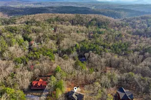 821 Echo Road, Morganton, GA 30560 - Photo 40