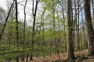 731 Hidden Lakes Trail, Jefferson, GA 30549 - Photo 62