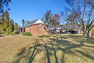 256 Hwy 56 N, Swainsboro, GA 30401 - Photo 2