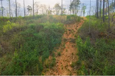 Lt 226 West Vista Ridge Parkway, Talking Rock, GA 30175 - Photo 4