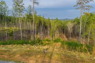 Lt 226 West Vista Ridge Pkwy, Talking Rock, GA 30175 - Photo 1