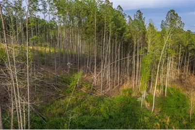 Lt 226 West Vista Ridge Parkway, Talking Rock, GA 30175 - Photo 12