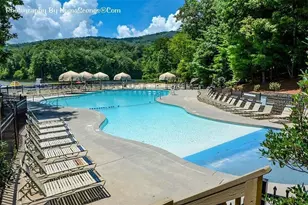 115 Chestnut Oak Point, Big Canoe, GA 30143 - Photo 56