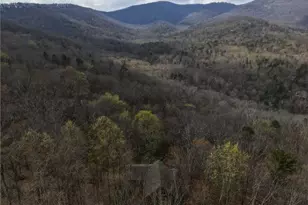 115 Chestnut Oak Point, Big Canoe, GA 30143 - Photo 36