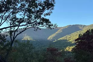 115 Chestnut Oak Point, Big Canoe, GA 30143 - Photo 44