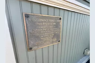 233 Legacy Downs Drive, Canton, GA 30115 - Photo 26